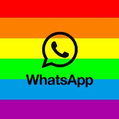 WhatsApp-Gruppe „🏳️‍🌈 LGBTQ 🏳️‍🌈 ⫸ՏᎪҒᎬ ᏢᏞᎪᏟᎬ⫷" – Gruppenbild